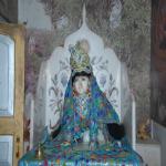 Vraj-Yatra-2014- (234)